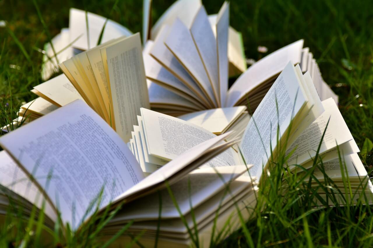What Are The Best Books To Read For GCSE English Language?