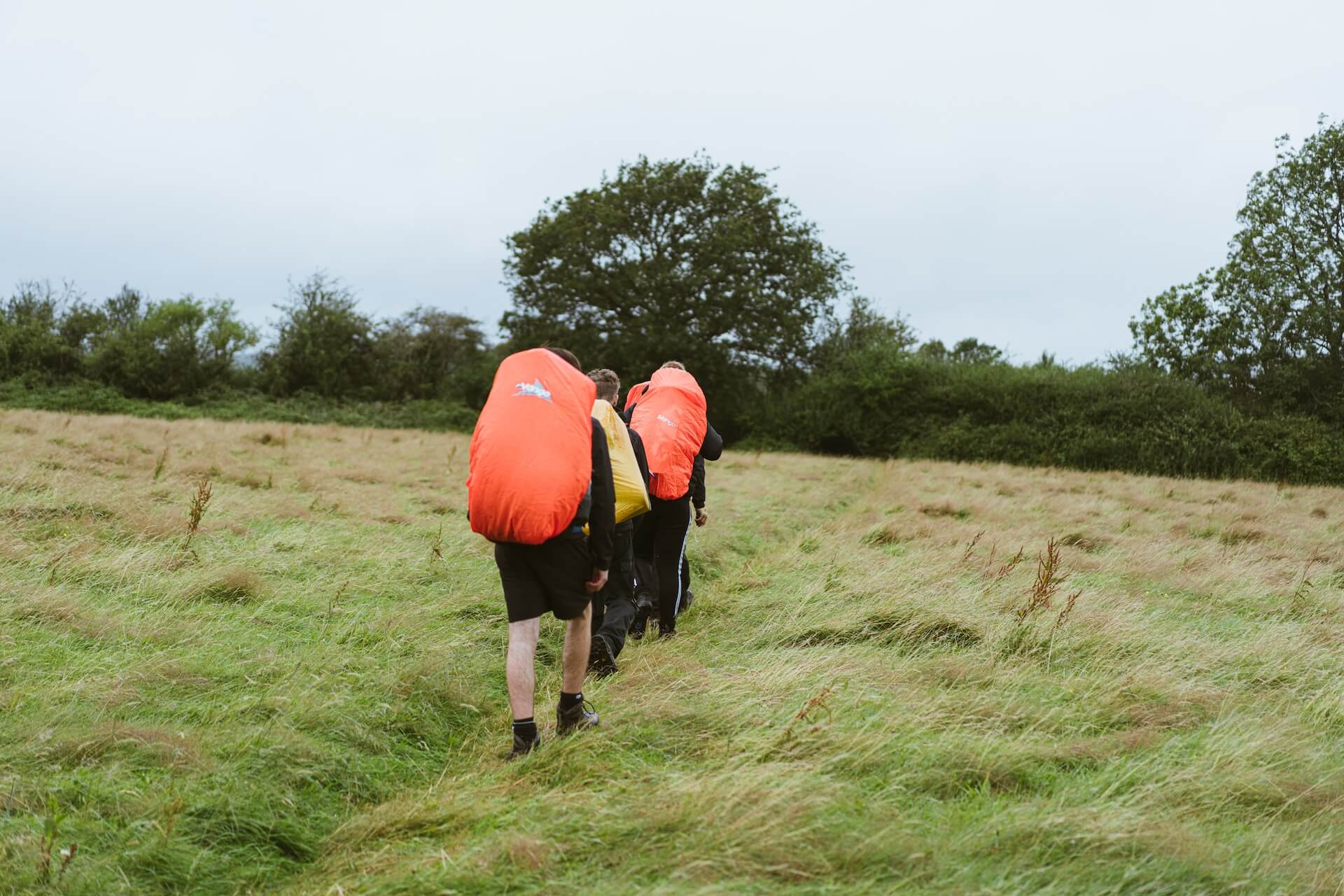 does-dofe-give-ucas-points-think-student